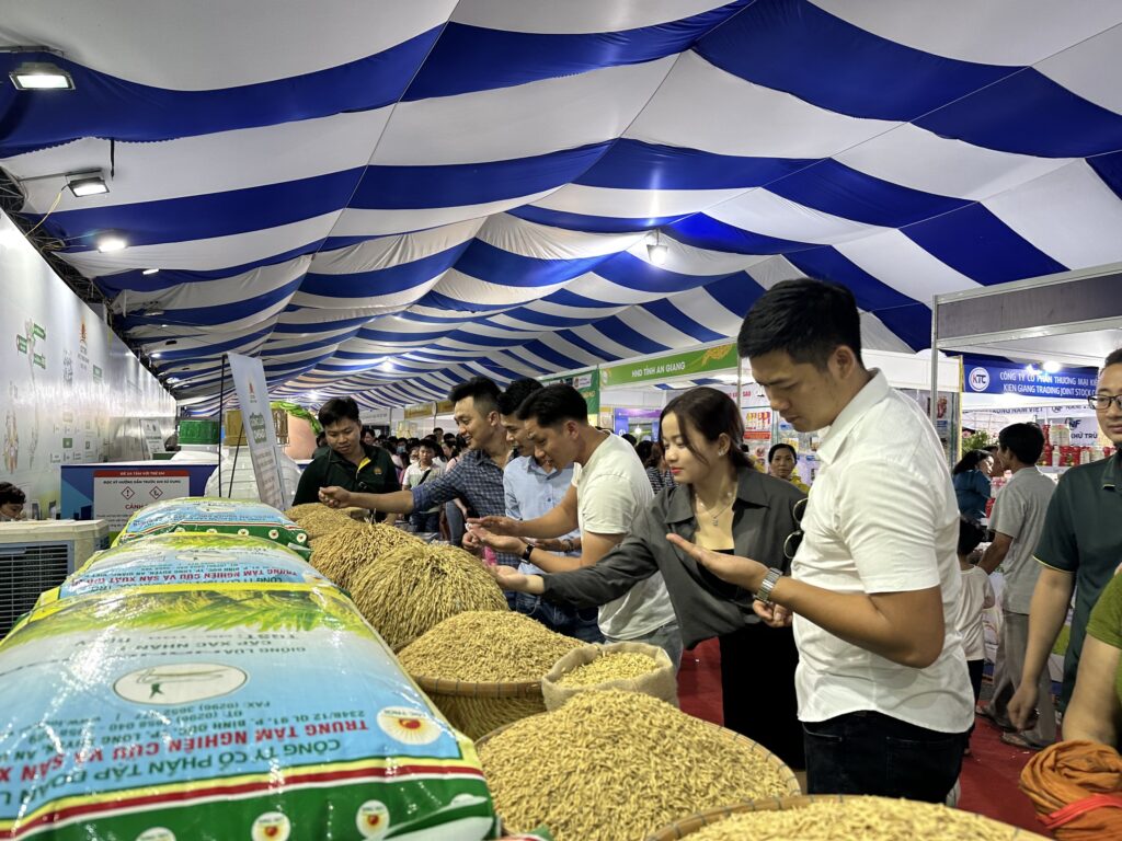 Tin Tức Gạo Havico 2023